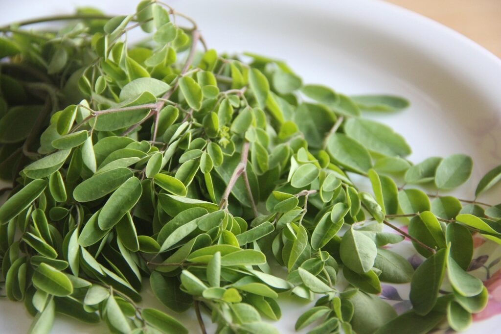 Moringa Benefits