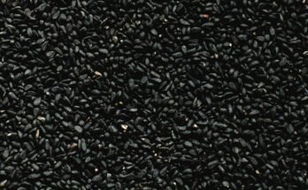 Black seed benefits foe health and wellness