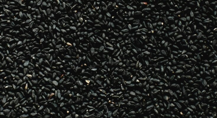 Black seed benefits foe health and wellness