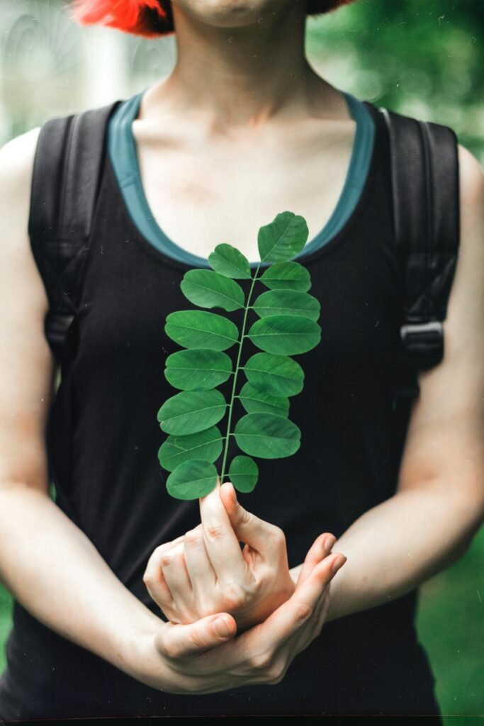Moringa Benefits