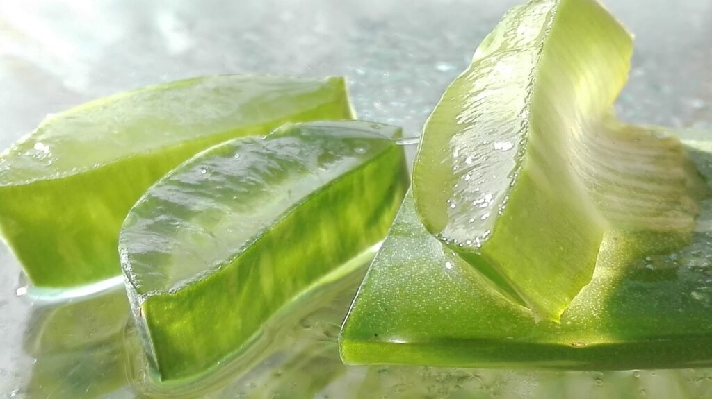 Aloe Vera Benefits
